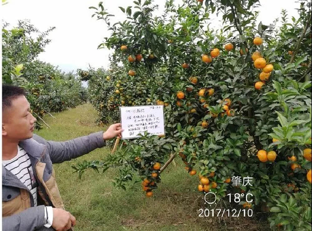 佛山市詩雨有機生物肥料有限公司