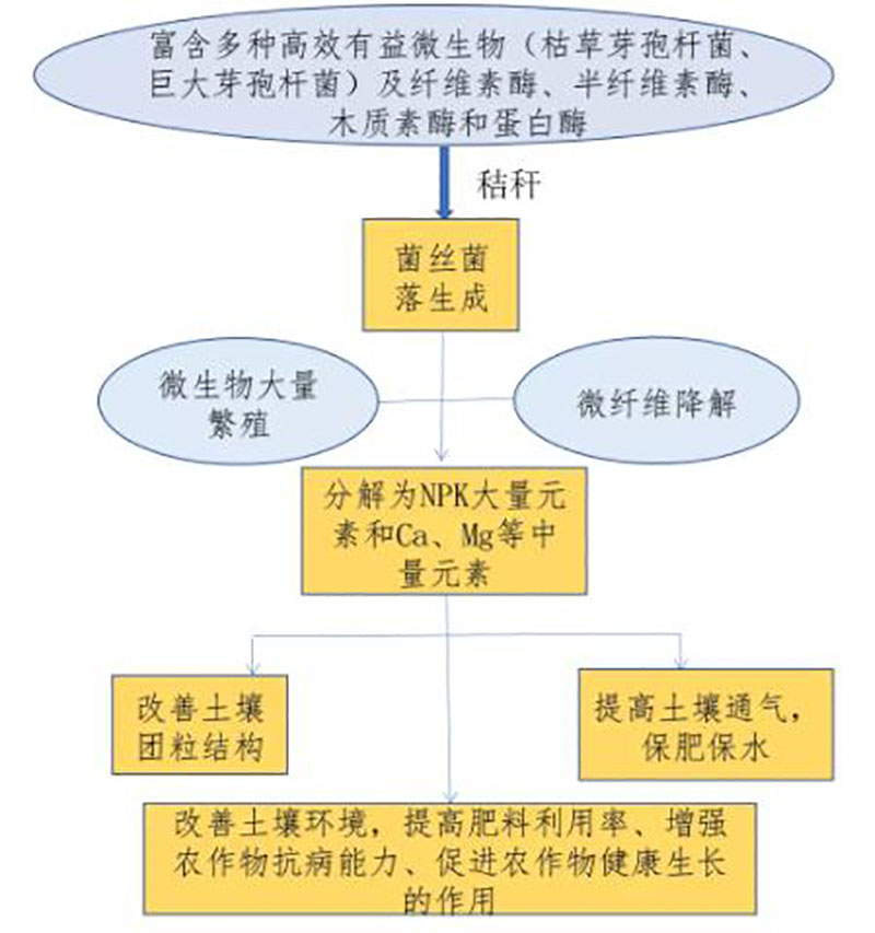 活力腐稈液1L