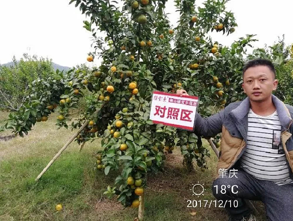 佛山市詩雨有機生物肥料有限公司