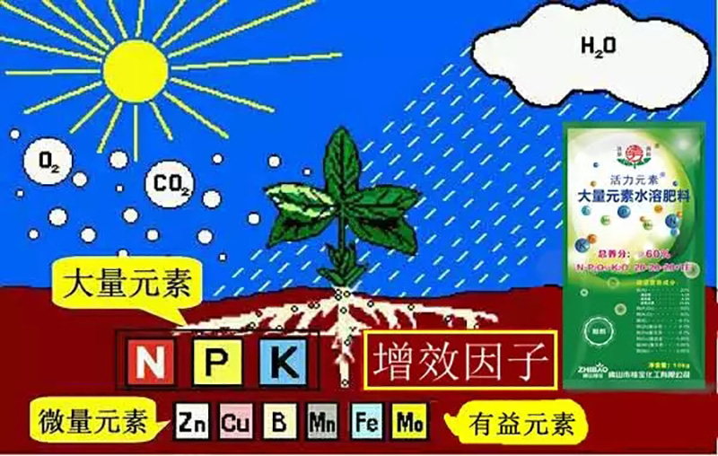 佛山市詩雨有機生物肥料有限公司