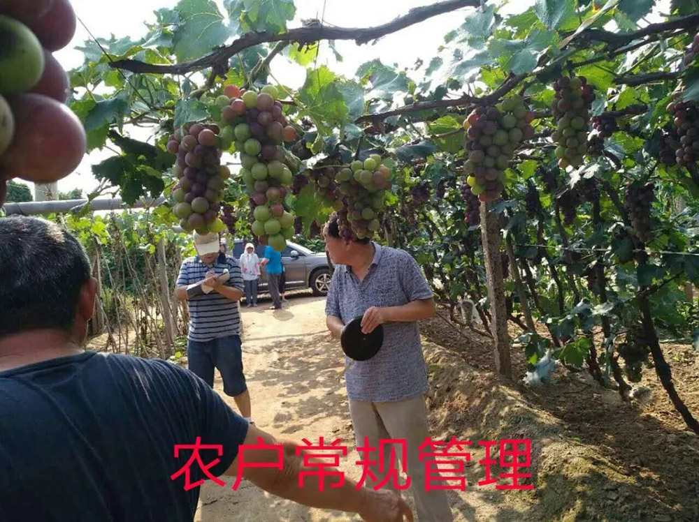 佛山市詩雨有機生物肥料有限公司