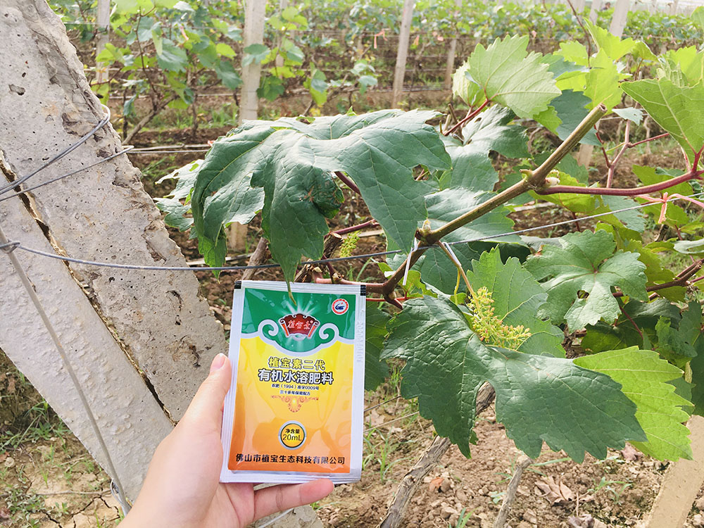 佛山市詩雨有機生物肥料有限公司