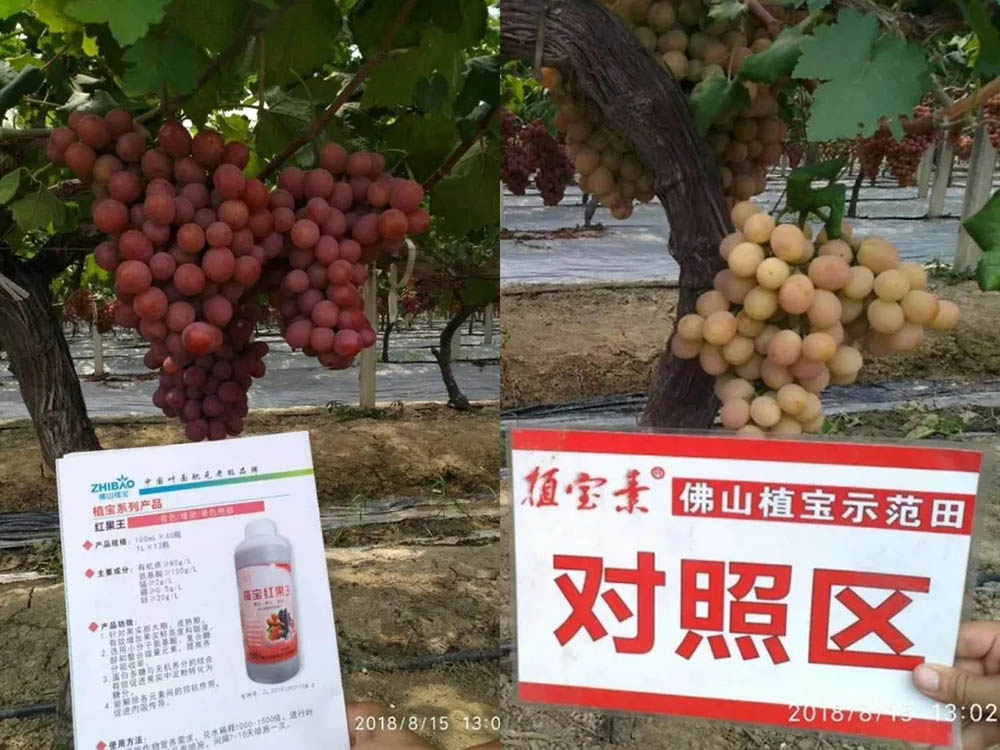 佛山市詩雨有機生物肥料有限公司