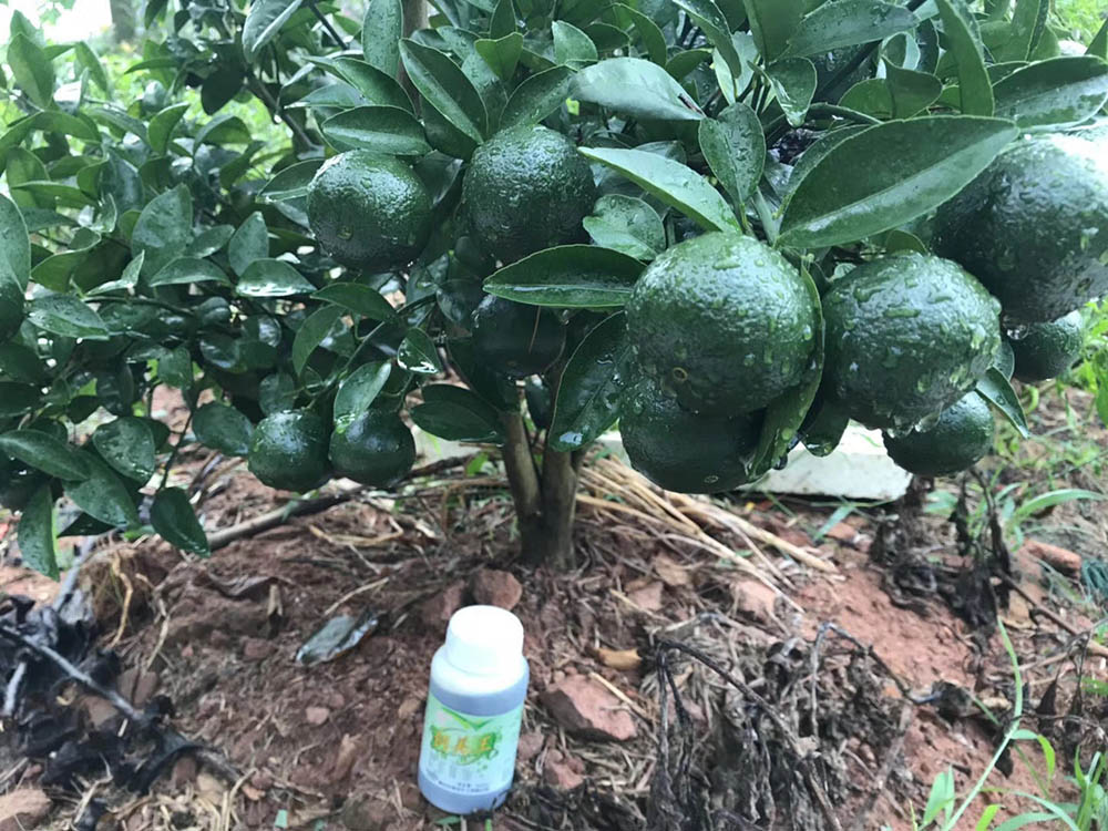 佛山市詩雨有機生物肥料有限公司