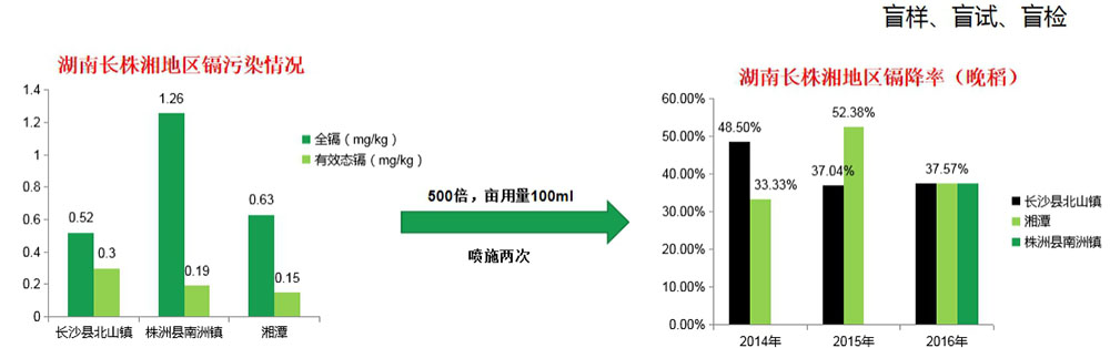 镉無憂葉面(miàn)阻控劑