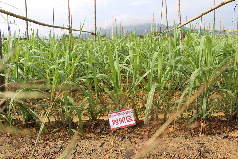 佛山市詩雨有機生物肥料有限公司