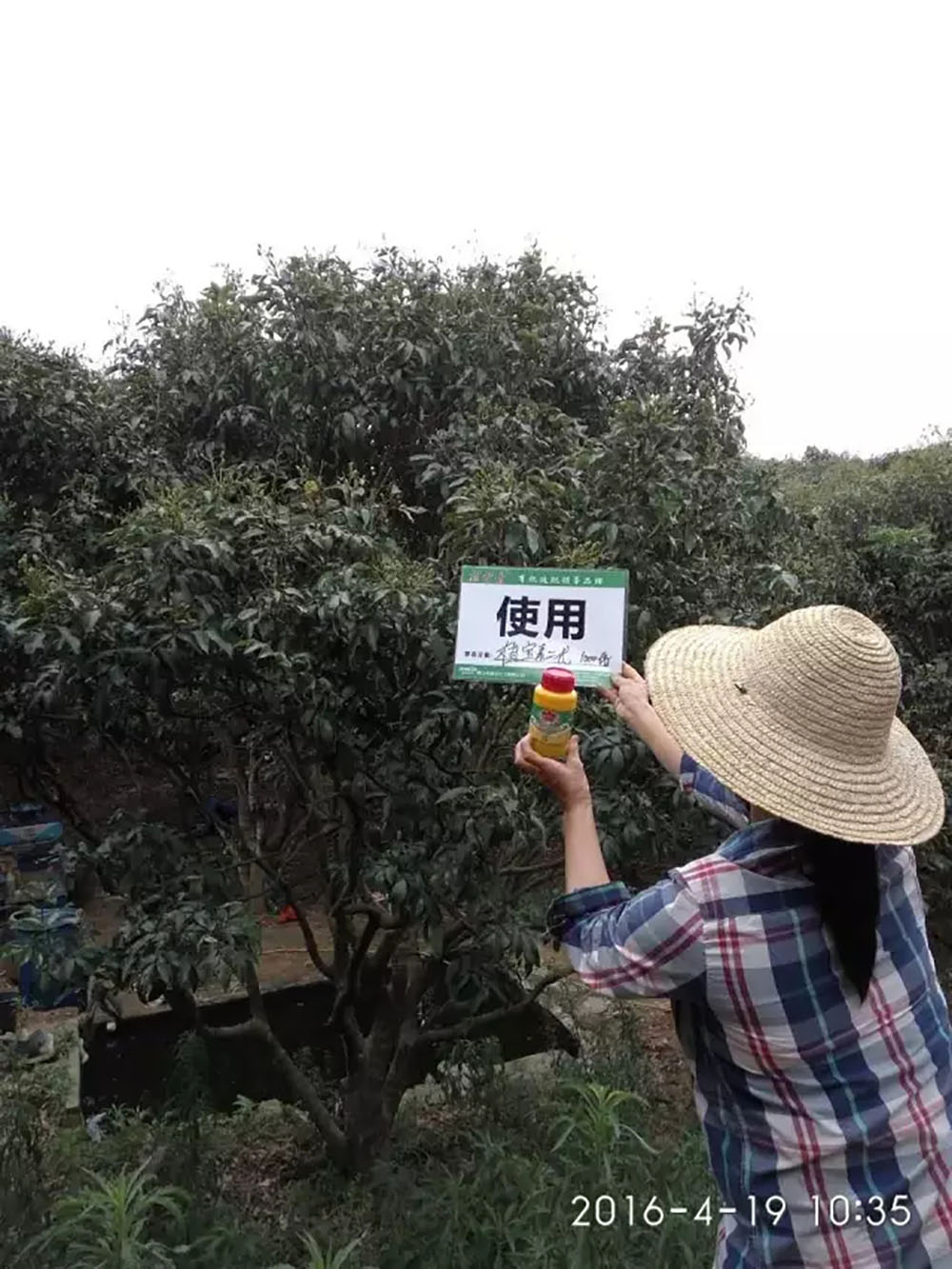 佛山市詩雨有機生物肥料有限公司